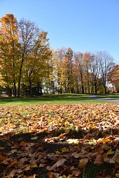 Van bomen naar het park in de herfst van Claude Laprise