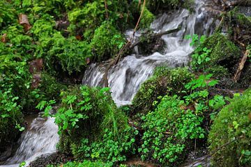 Waterval van Daniel Dorst