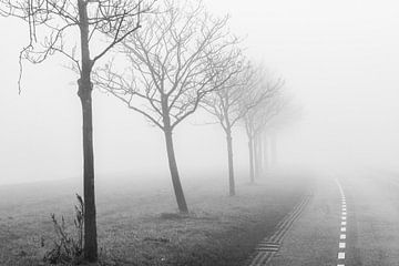 Foggy morning van Jordy Kortekaas