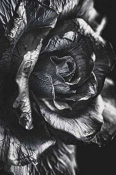 Elegante zwart-wit macrofotografie van een roos van Art & Soul Creations