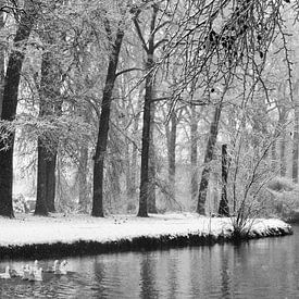 Meertje met gevogelde in de sneeuw van Michel Van Zanten