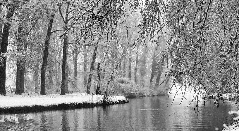 Snow von Michel Van Zanten