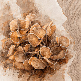 Botanische Mixed-Media-Kunst: Getrocknete Hortensie in Beige und Bronzefarben