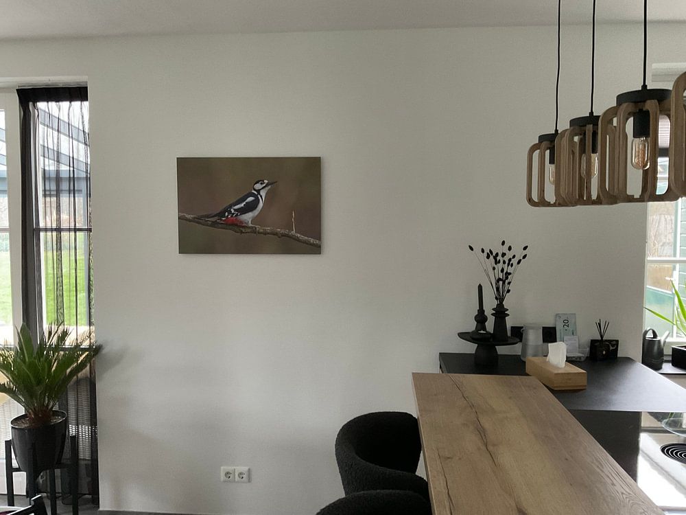 Pic épeichette par Menno Schaefer