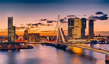 Rotterdam city by Rob van der Teen