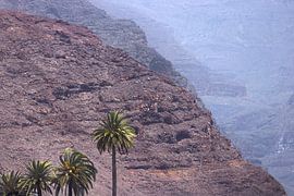 Die atemberaubende Vulkanlandschaft von La Gomera zeigt die Natur's in ihrer ganzen Ursprünglichkeit von PhotoCluster
