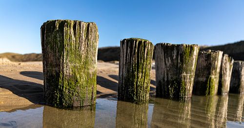 Small poles in the water