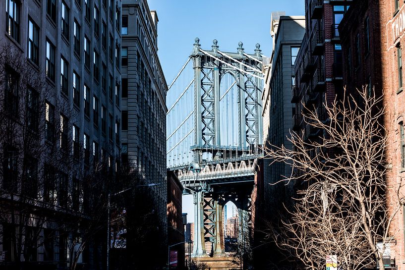 die Manhattan-Brücke von der Washington Street aus von Eric van Nieuwland