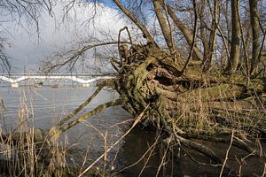raue Bank Hollandsch Diep
