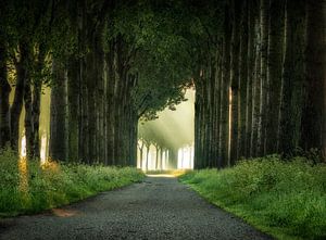 Route de campagne typique sur Hans Soowijl