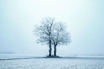 Eenzaam in de kou, winterscene. van Gert Hilbink