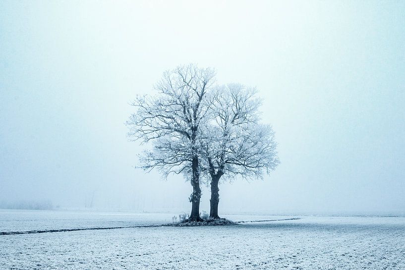Einsam in der kalten, winterlichen Szene. von Gert Hilbink