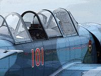Two seater
