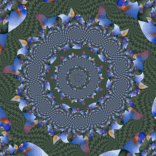 Cercles de spirales de poissons tropicaux I