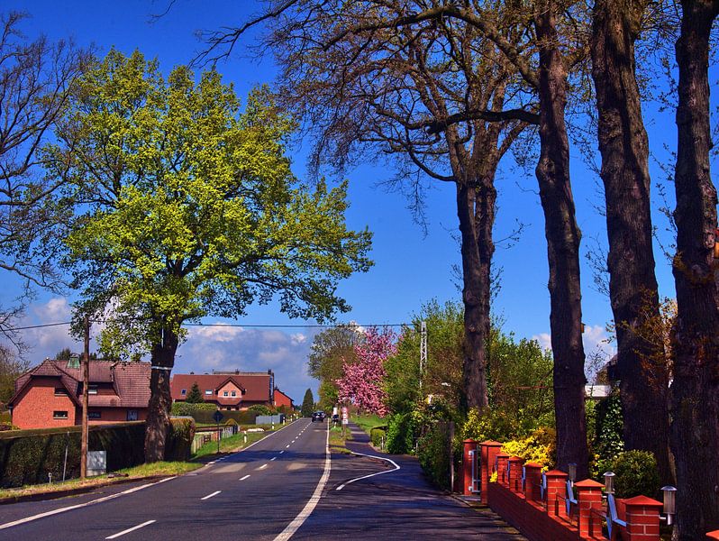 Straat lente van Edgar Schermaul