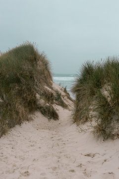 Duinen in Bretagne | Uitzicht op zee foto print | Frankrijk reisfotografie van HelloHappylife