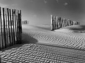 Sand und Strand im Winter von Hans Heemsbergen Miniaturansicht