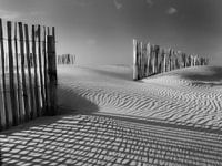 Sand and beach in winter