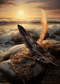 Feather on the beach