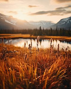 Herbst im Yukon