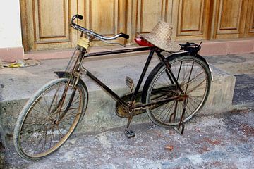 Chinese fiets van Inge Hogenbijl