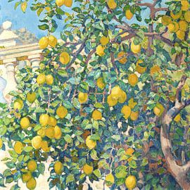 Lemon Trees in La Mortola, 1921 by Apolo Prints