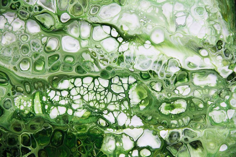 Abstrakt grün/ Green abstract/ Abstrakt grün /Vert abstrait von Joke Gorter