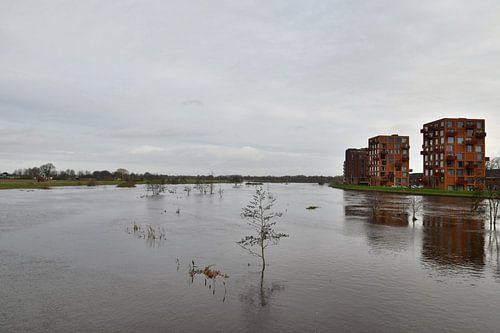 Hoog water in de Vecht
