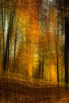 Autumn forest - abstract