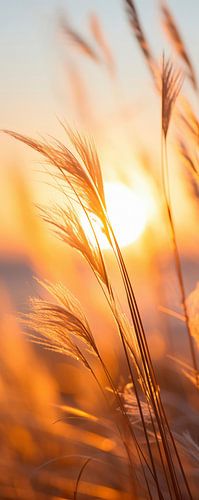 Impressions de plage No 13