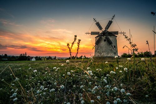 Windmolen in de zonsondergang Tez Unagrn met bloemen
