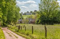 Genieten in Zuid-Limburg van John Kreukniet thumbnail