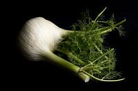 Fenchel auf schwarzem Hintergrund