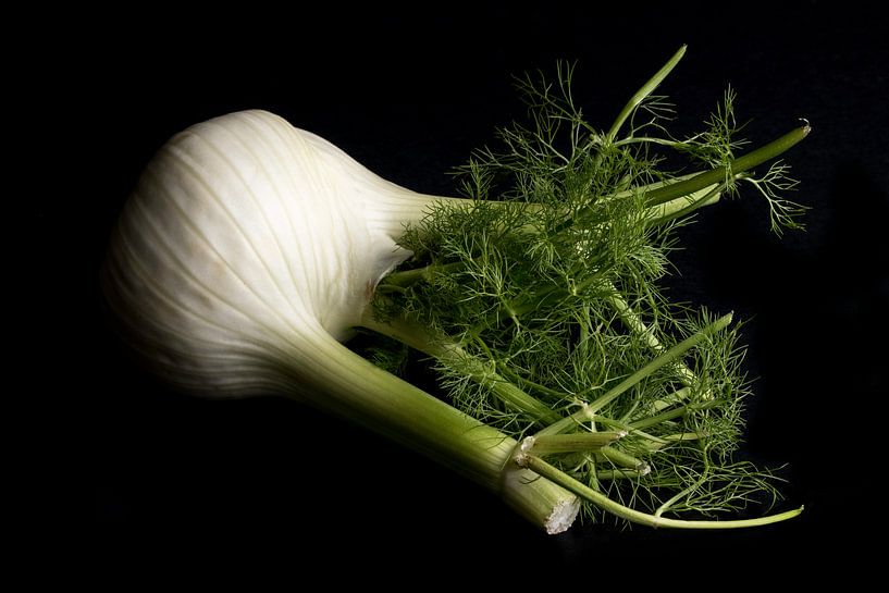 Fenchel auf schwarzem Hintergrund von Iris Koopmans