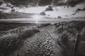 Op het strand! van Dirk van Egmond