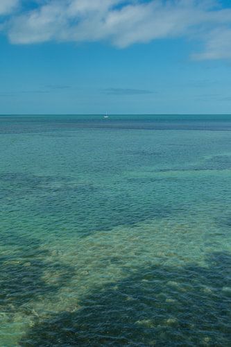 USA, Florida, Algen en helder blauw water bij florida keys met blauwe lucht