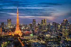 Ligne d'horizon nocturne de Tokyo