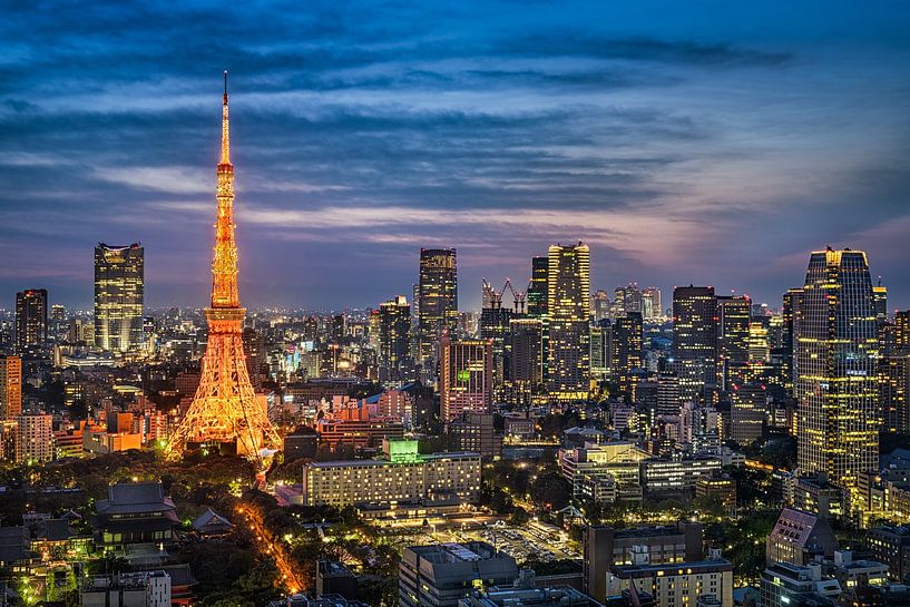 Nachtelijke skyline van Tokio van Michael Abid