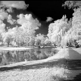 Une promenade dans le parc avec ma caméra infrarouge sur Fotografie Marco Houben