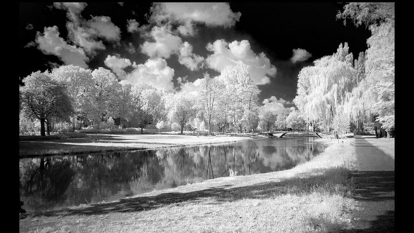 Une promenade dans le parc avec ma caméra infrarouge par Fotografie Marco Houben