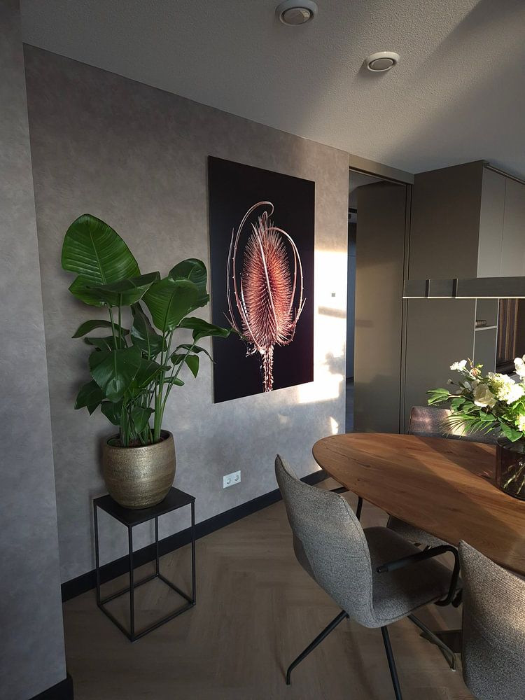 Le cardére sauvage terrestre en carton, en parlant de  par Gerry van Roosmalen 