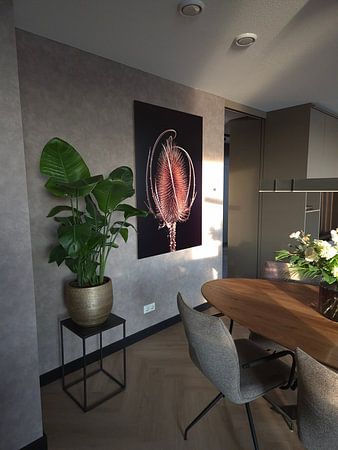 Der große wilde Karde, wo wir von scharfen