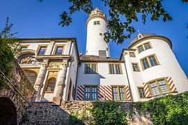 Höchster Schloss in Frankfurt by Christian Müringer