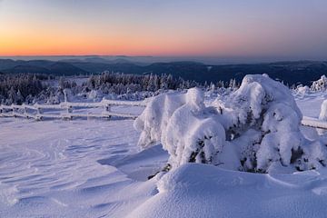 Schwarzwald, ein Wintertraum von Markus Lange