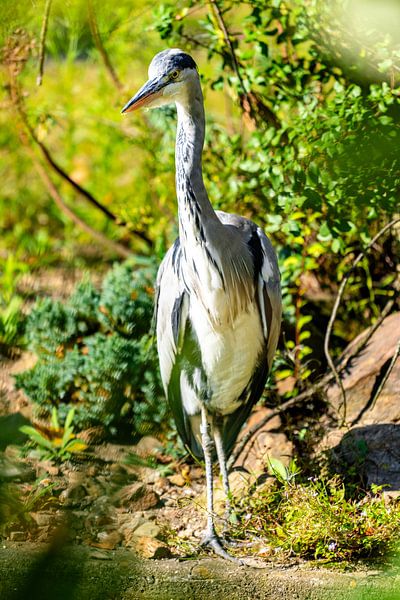 An ode to elegance and silence by Jeffrey Gorissen - JEGO Photography