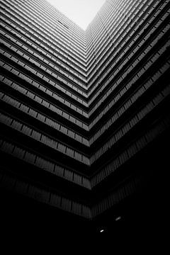 Look Up! van Rene scheuneman