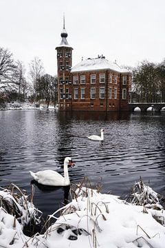 Swans with castle background (Castle Bouvigne - Breda) by Chihong