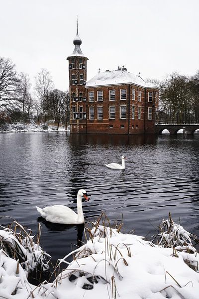 Zwanen met kasteel achtergrond (Kasteel Bouvigne - Breda) van Chi