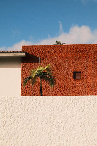 Weiß, rot, blau und ein bisschen grün von Anna Trex