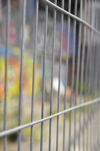 Was ist hinter dem Zaun?